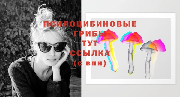 PSILOCYBIN Лихославль