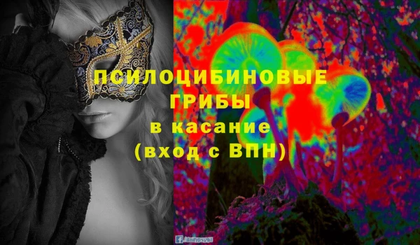 PSILOCYBIN Лихославль