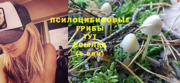 PSILOCYBIN Лихославль