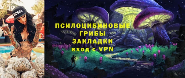 PSILOCYBIN Лихославль