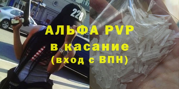 сатива Липки