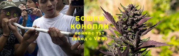 сатива Липки