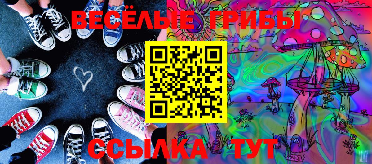 Галлюциногенные грибы GOLDEN TEACHER Железноводск
